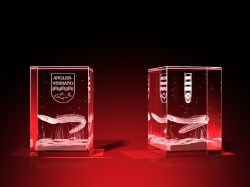 Vereinsmitglied Wertschätzung - Quader – GLASFOTO.COM