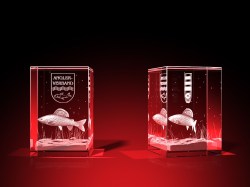 Vereinsmitglied Wertschätzung - Quader – GLASFOTO.COM