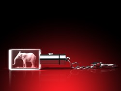 Babyelefant – Schlüsselanhänger Elefant mit LED Licht von GLASFOTO.COM