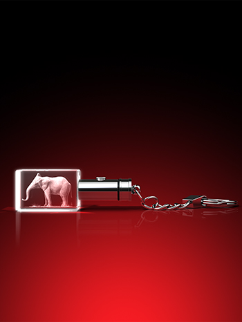 schlüsselanhänger, led licht, 3D Tiere, Tiere in Glas, GLASFOTO.COM