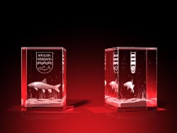 Vereinsmitglied Wertschätzung - Quader – GLASFOTO.COM