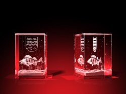 Vereinsmitglied Wertschätzung - Quader – GLASFOTO.COM