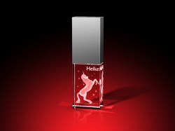 Besondere Geschenke : Einhorn-USB-Stick von GLASFOTO.COM