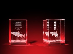 Vereinsmitglied Wertschätzung - Quader – GLASFOTO.COM
