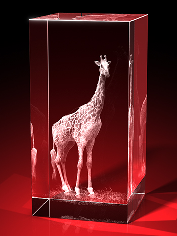 giraffen bilder, 3D Tiere, Tiere in Glas, GLASFOTO.COM