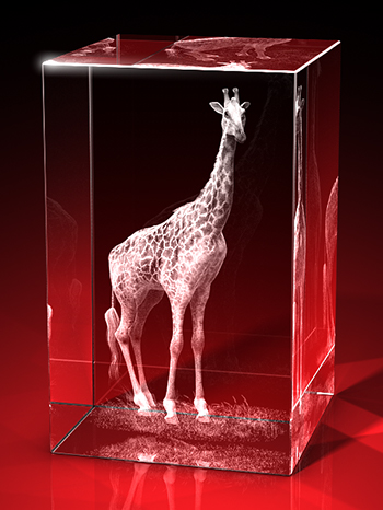 giraffen bilder, 3D Tiere, Tiere in Glas, GLASFOTO.COM