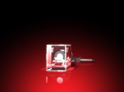 Leopard_2A4___Schluesselanhaenger_LED_quer_einzeln_Seite_80