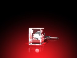 Leopard_2A6___Schluesselanhaenger_LED_quer_einzeln_Seite_80_3