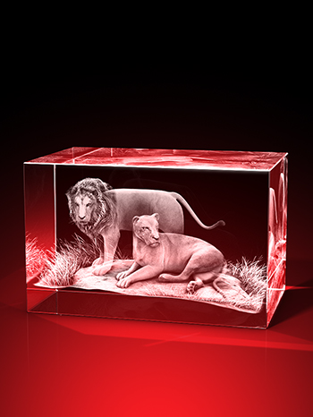 löwenbilder, 3D Tiere, Tiere in Glas, geschenke für tierfreunde, GLASFOTO.COM