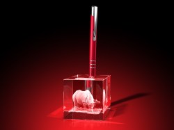 Nashörner – Stifthalter - Stifthalter mit Nashorn Bildern bei GLASFOTO.COM