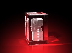 strahlend, LEDs, glasbild, geschenkidee, fotogeschenk, GLASFOTO.COM
