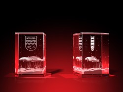 Vereinsmitglied Wertschätzung - Quader – GLASFOTO.COM