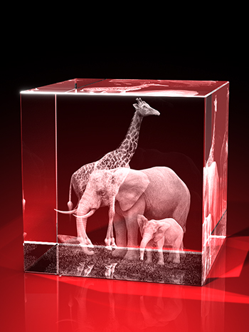 afrika bilder, 3D Tiere, Tiere in Glas, geschenke für tierfreunde, GLASFOTO.COM
