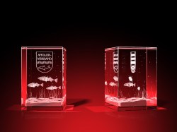Vereinsmitglied Wertschätzung - Quader – GLASFOTO.COM