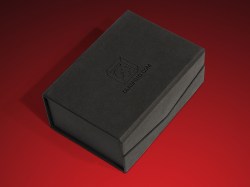 Löwen – Glasuhr – Glasuhren mit Löwen Bildern bei GLASFOTO.COM