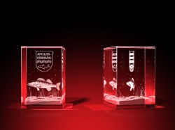 Vereinsmitglied Wertschätzung - Quader – GLASFOTO.COM