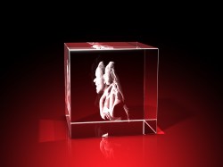 3D-Porträt vom Foto – 1 Person – Quader 40 x 60 x 40 mm – GLASFOTO.COM